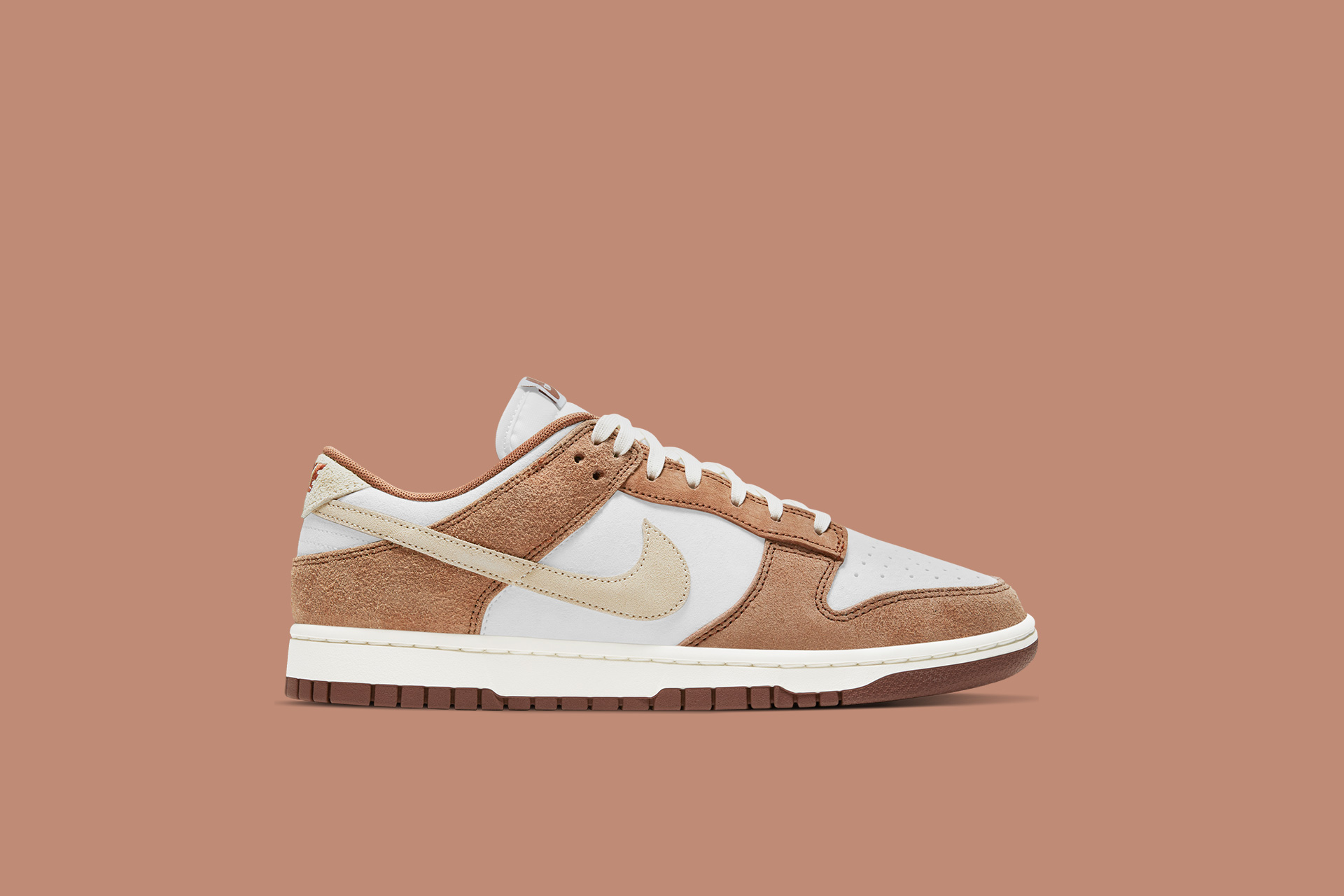 Nike Dunk Low Retro Premium